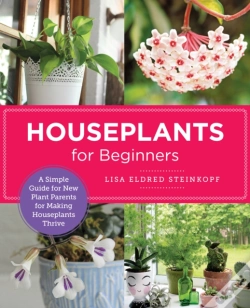 Capa do artigo Houseplants For Beginners