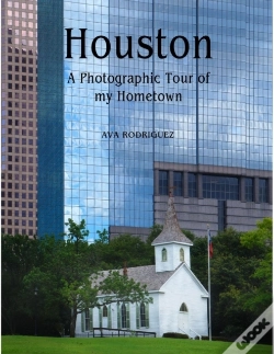 Capa do artigo Houston