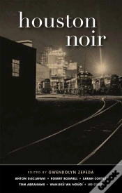Capa do artigo Houston Noir