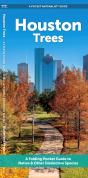 Houston Trees - Preview