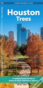Capa do artigo Houston Trees