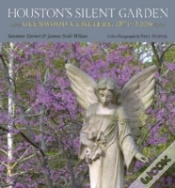 Capa do artigo Houston