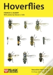 Hoverflies