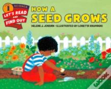 How A Seed Grows