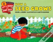 How A Seed Grows