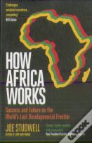How Africa Works