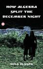 How Algebra Split The December Night - Preview