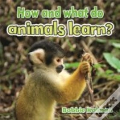 How And What Do Animals Learn