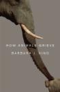 How Animals Grieve - Preview