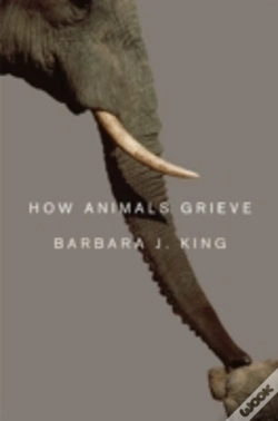 Capa do artigo How Animals Grieve