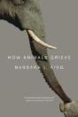How Animals Grieve - Preview