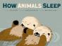 How Animals Sleep - Preview