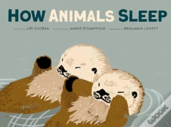 Capa do artigo How Animals Sleep