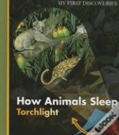 How Animals Sleep