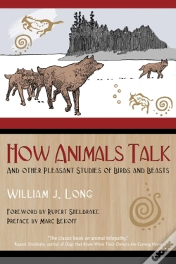 Capa do artigo How Animals Talk
