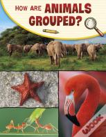 How Are Animals Grouped?