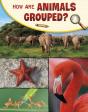 How Are Animals Grouped? - Preview
