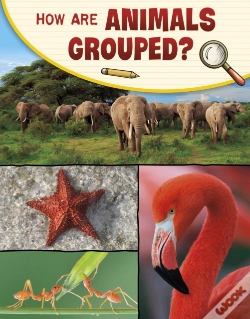 Capa do artigo How Are Animals Grouped?