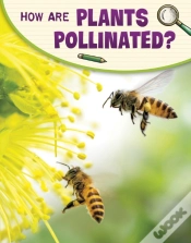 Capa do artigo How Are Plants Pollinated?