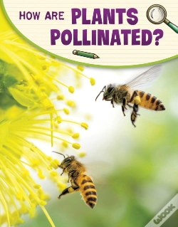 Capa do artigo How Are Plants Pollinated?