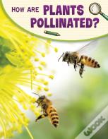 How Are Plants Pollinated?