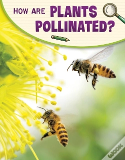 Capa do artigo How Are Plants Pollinated?