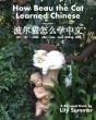 How Beau The Cat Learned Chinese - Preview