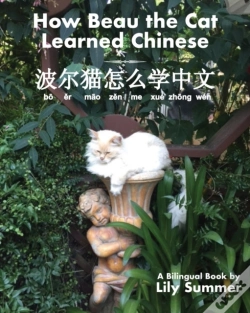 Capa do artigo How Beau The Cat Learned Chinese