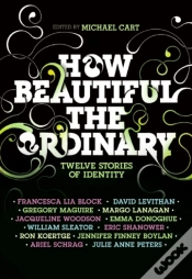 Capa do artigo How Beautiful The Ordinary