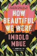 How Beautiful We Were