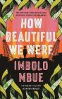 How Beautiful We Were - Preview