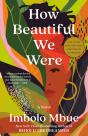 How Beautiful We Were - Preview