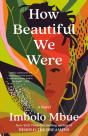 How Beautiful We Were - Preview