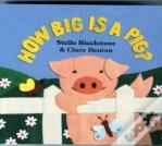 How Big Is A Pig