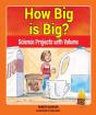 How Big Is Big? - Preview