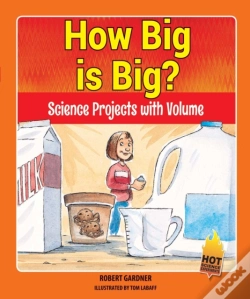 Capa do artigo How Big Is Big?