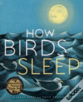 How Birds Sleep