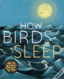 Capa do artigo How Birds Sleep