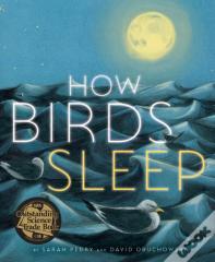 How Birds Sleep