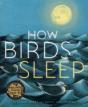 How Birds Sleep - Preview