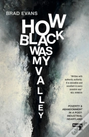 Capa do artigo How Black Was My Valley