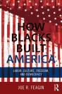 How Blacks Built America - Preview