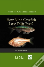 Capa do artigo How Blind Cavefish Lose Their Eyes?