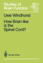 How Brain-Like Is The Spinal Cord? - Preview