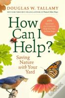 How Can I Help?