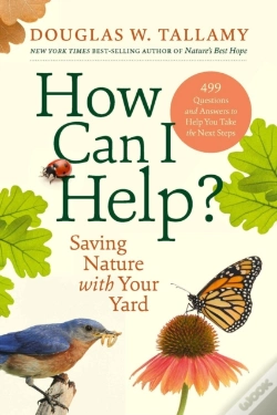 Capa do artigo How Can I Help?