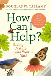 Capa do artigo How Can I Help?