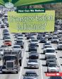 How Can We Reduce Transportation Pollution? - Preview