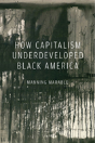 How Capitalism Underdeveloped Black America - Preview