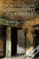 How Capitalism Underdeveloped Black America